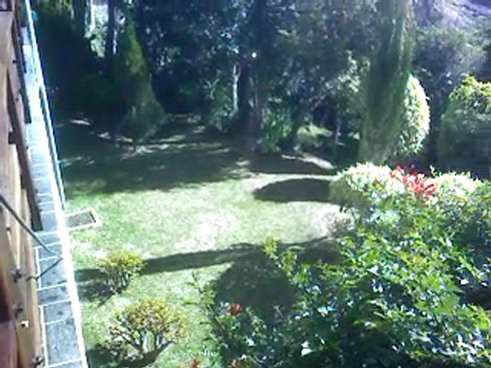 BUENOS DIAS 1 ENERO HOTEL BERGLAND-15