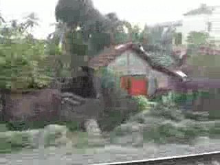 vue d'un train indien