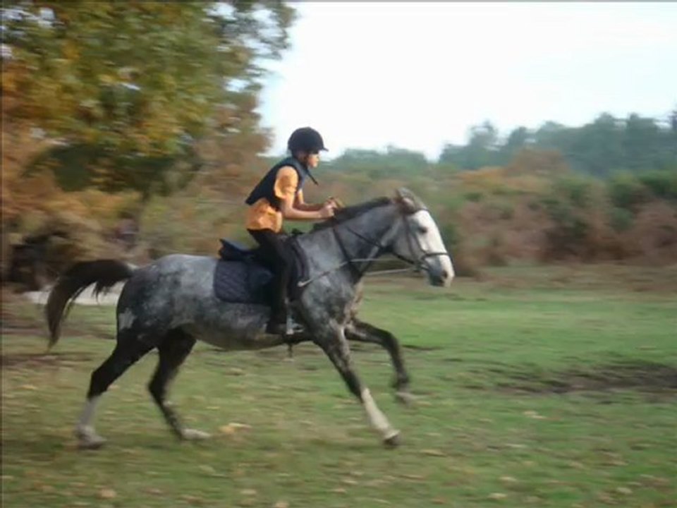 30 Octobre 2009 Nathan et Premier en séance de cross