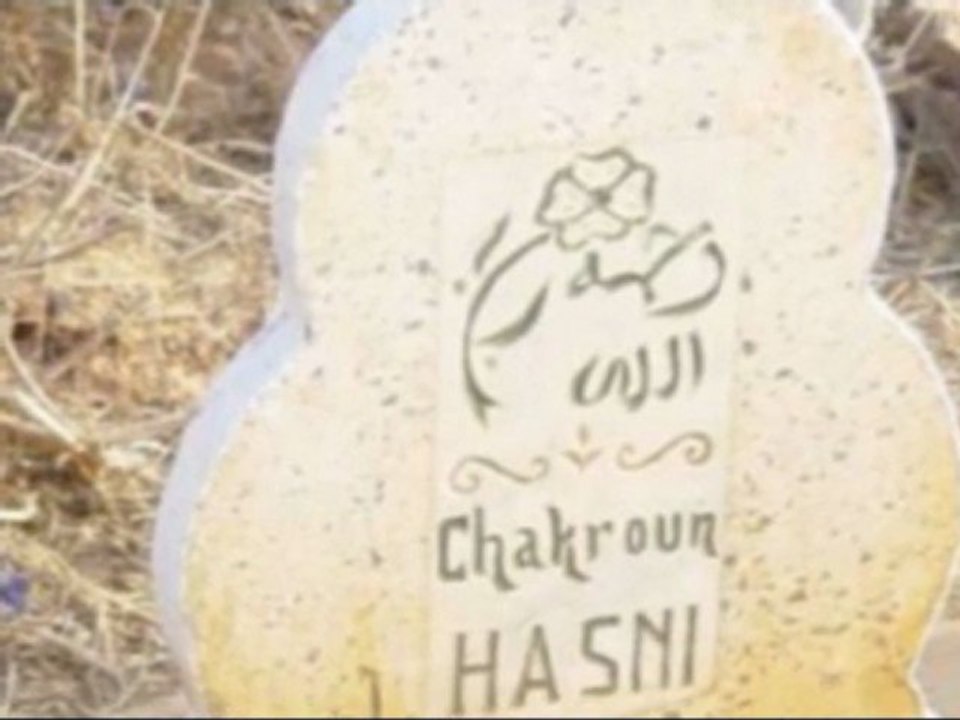 hasni 2010
