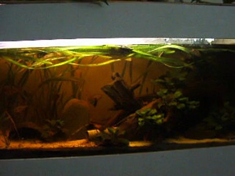 120L Amazonie