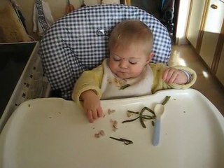 Premiers repas