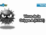 Le vaccin contre la grippe A(H1N1)