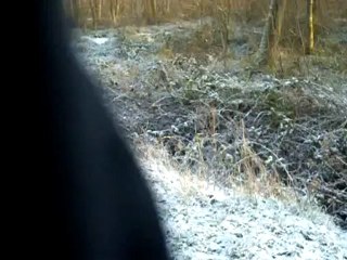 Entrainement trotting Nousha