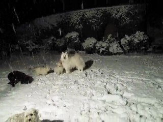 5th Jan 2010 snow fall 7.30pm