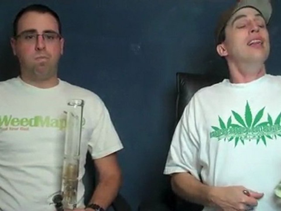 Bootcamp #9 - Strain Review Green Crack