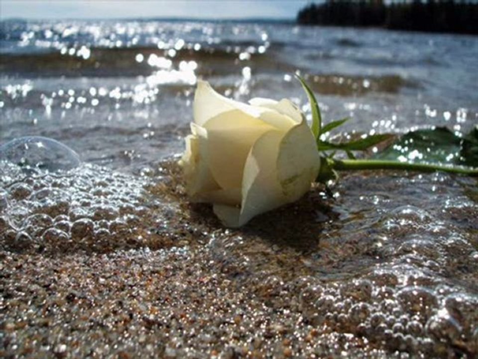 ibrahim sadri adam gibi