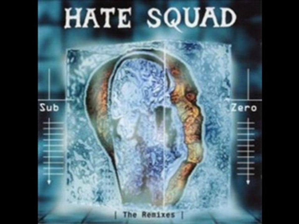 hate squad - i.q. zero (t.a.s.s. remix)