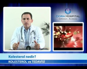 Kolesterol Nedir?