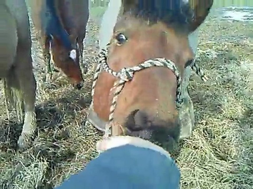 loulou au prés on samuse bien mdr'