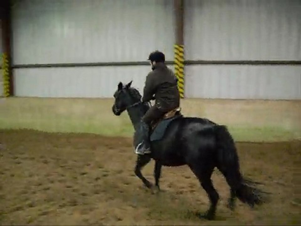 Galop du mardi 5 janvier 2010