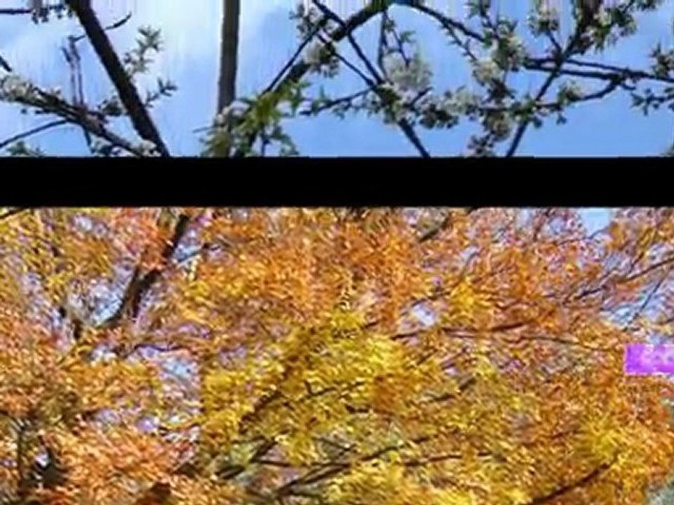 4saisons