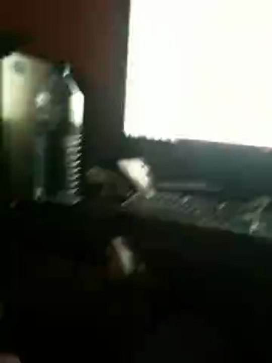 Jj