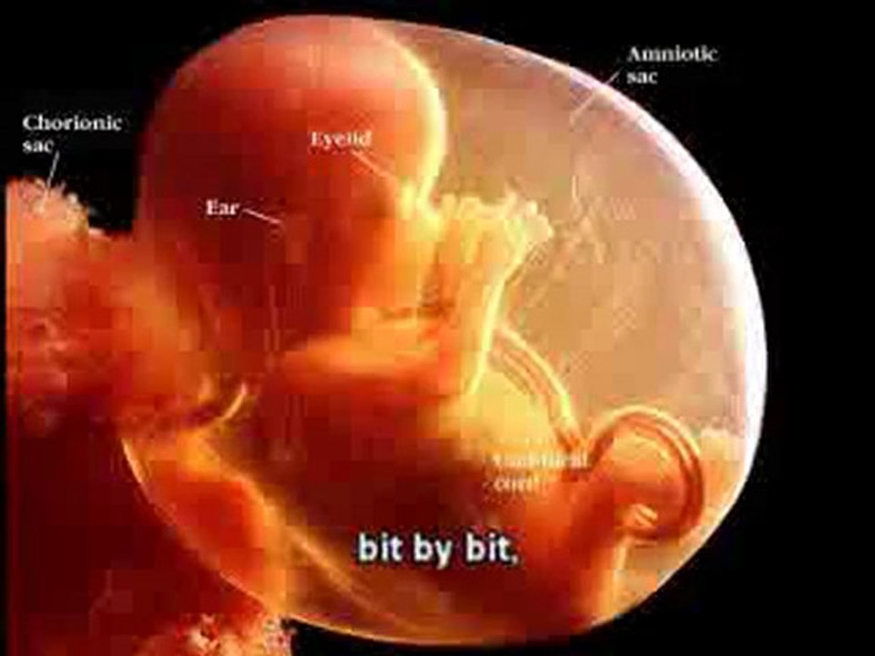 God created me