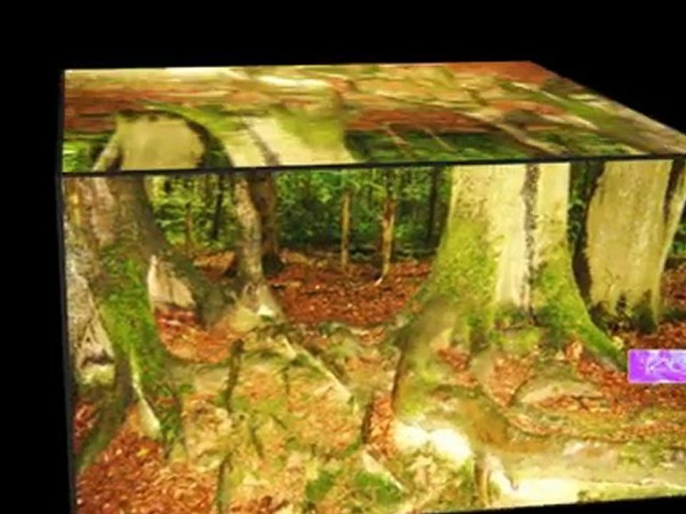 Autres photos 2009 en cubes et en musique.