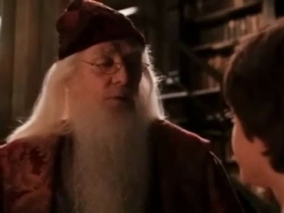 Montage Harry Potter 1