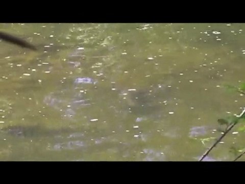 stalking tour 2009 vol.2