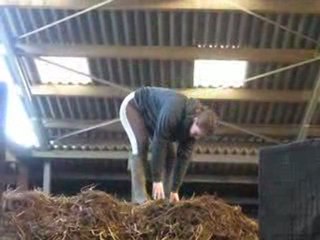 Vidage des Boxs