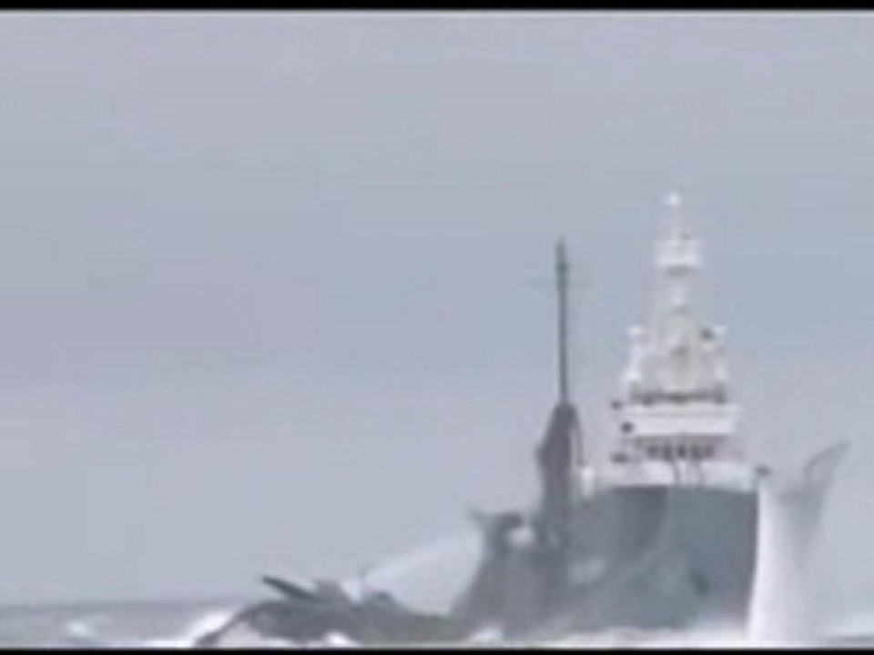 Ady Gil rammed by Shonan Maru No. 2