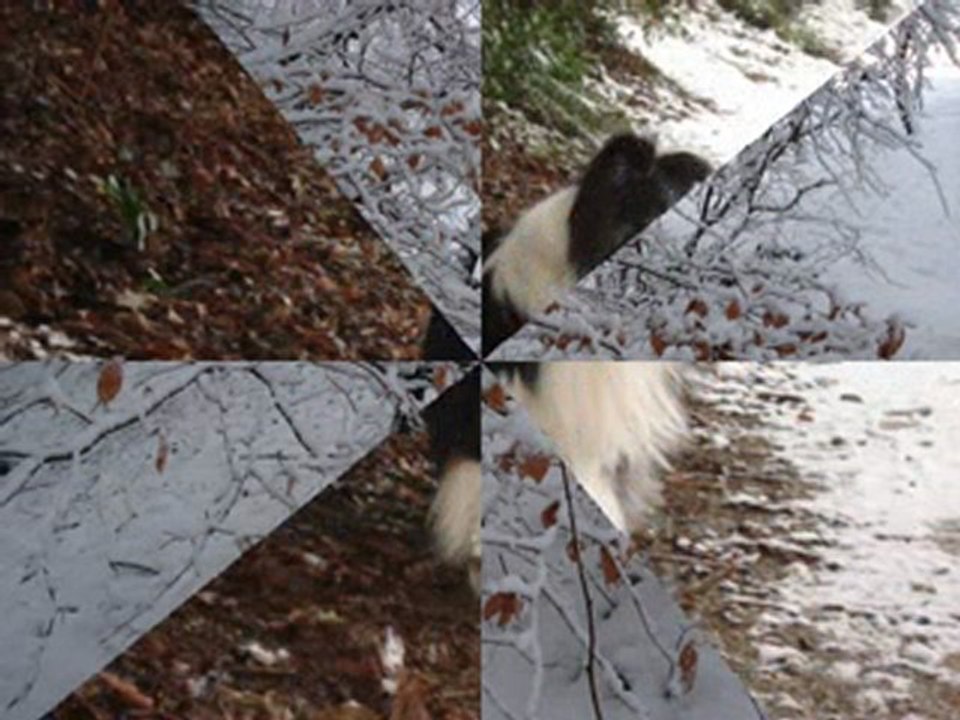 photos neige 06012010