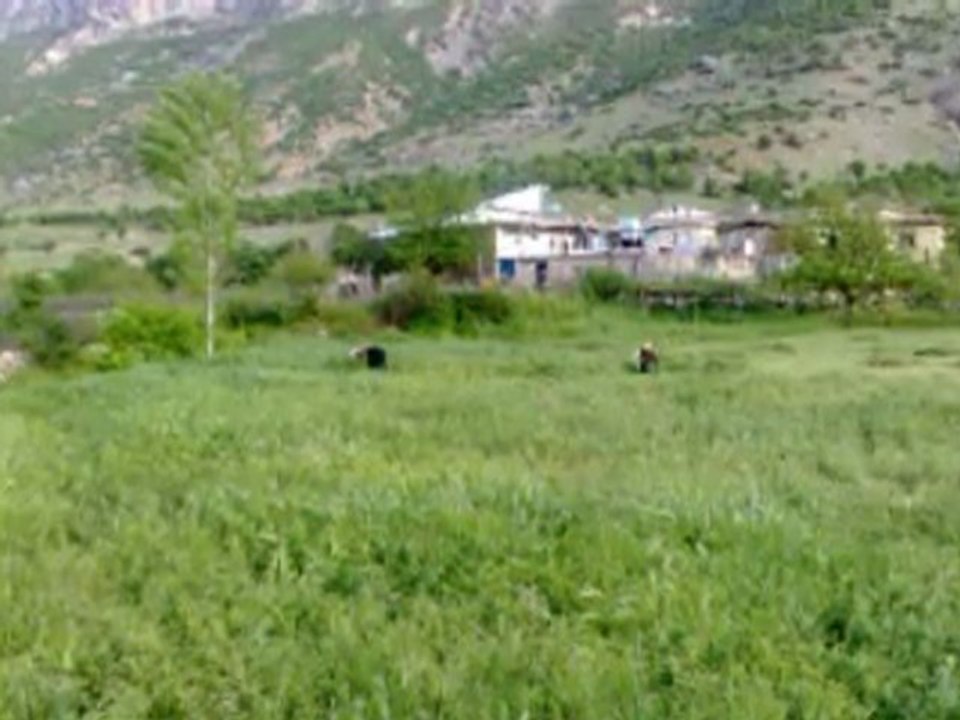 gerger. tırsık köyü(erenler)