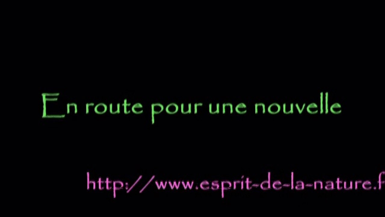 Femme enceinte naissance et croissance Voeux 2010