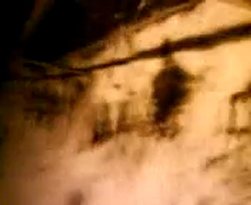 MOV00011