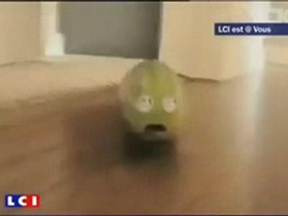 Il faut sauver les concombres victimes d'agressions!