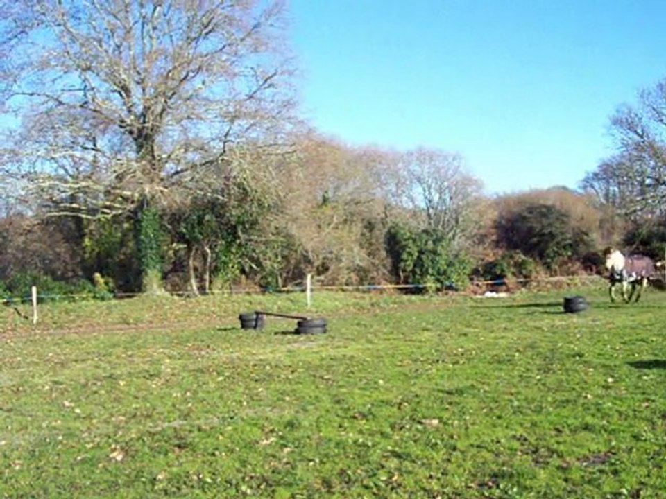décembre 2009