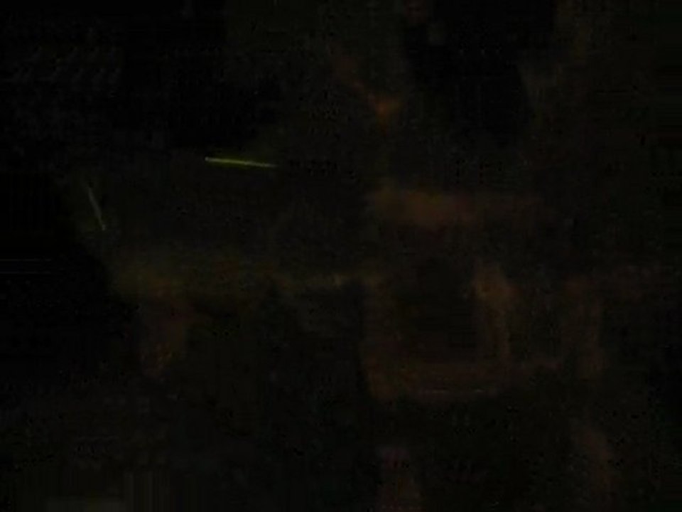 Nouvel An à Paris 2010