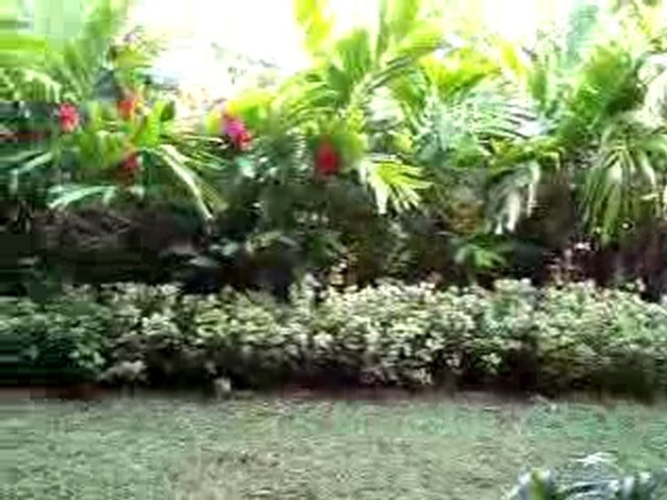jardin