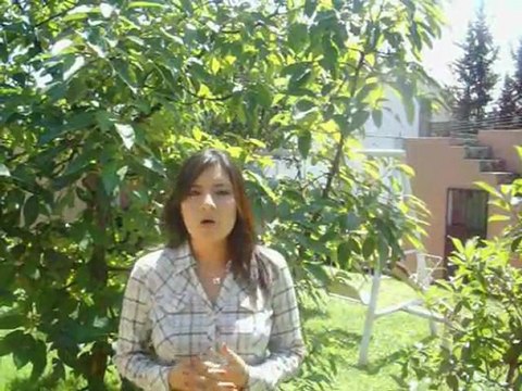 Negocio de Cosmeticos Con Yanbal Ecuador