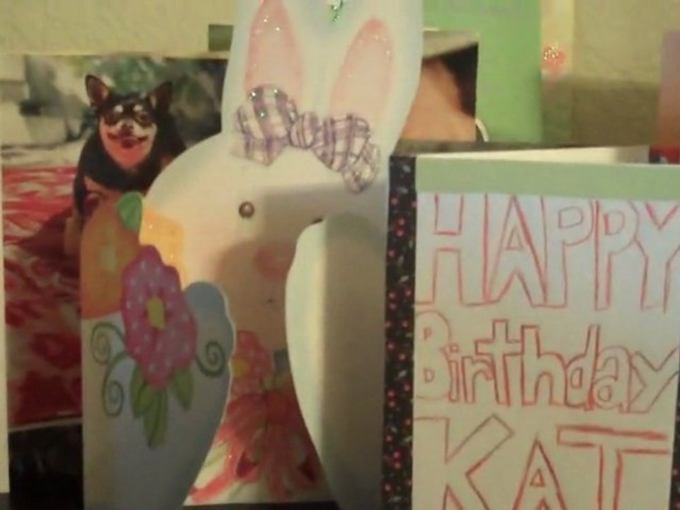 Katharine McPhee :: Video Blog 4