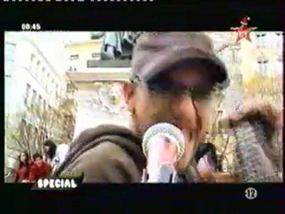 Troides Preamus Mecumba - Message de paix