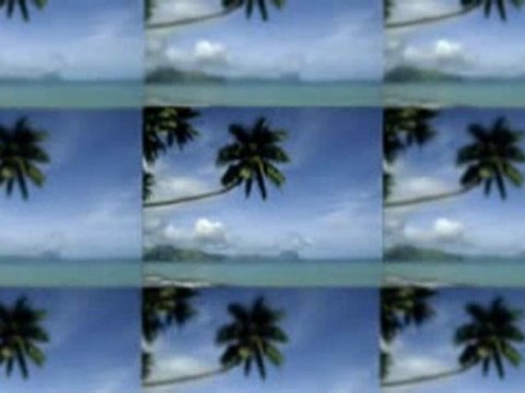 Make Money From Home With Royal Cruise Matrix, Wealth