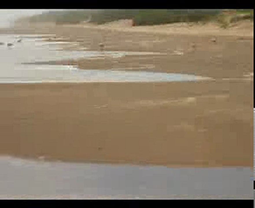 aguas verdes 2