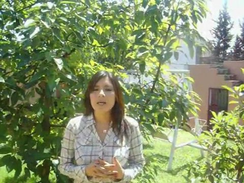 Gran Negocio de cosmeticos en Ecuador