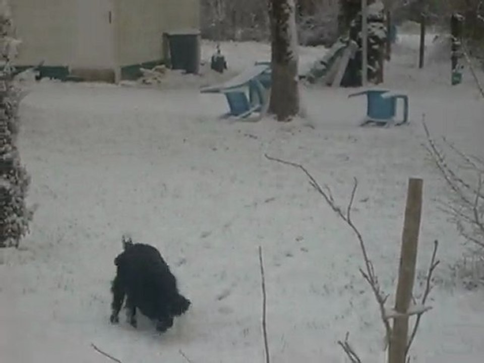 kermit joue dans la neige