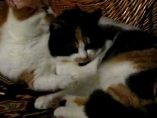 KARDES SEVGISI 07.01.2010 001