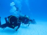Diving with Bull Sharks / Los Tiburones de Playa del Carmen