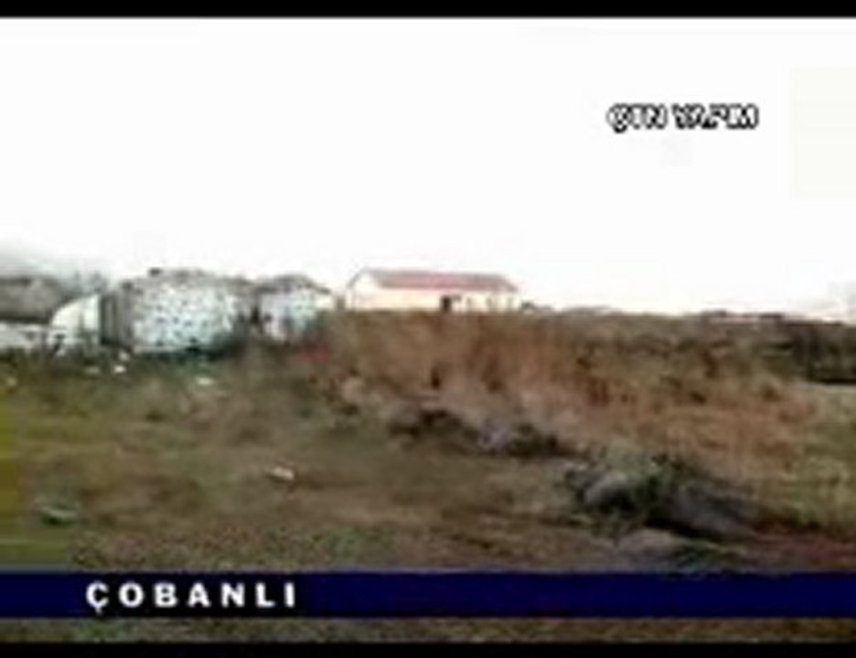 Çobanlı