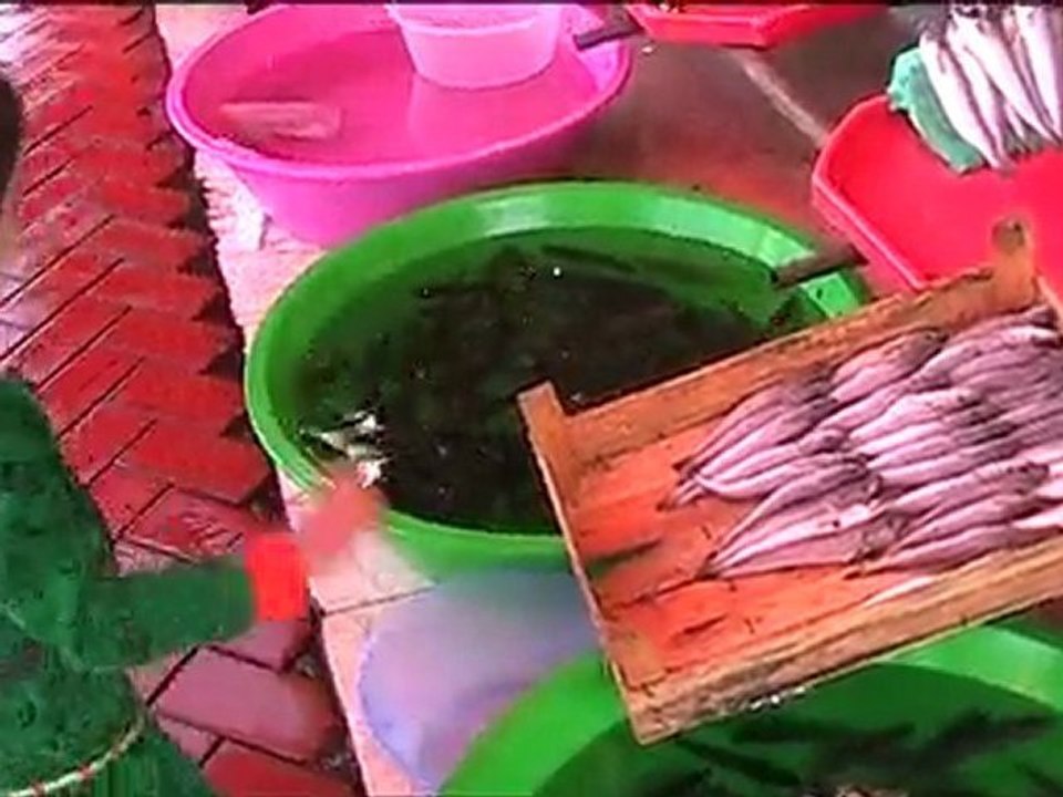 TUANA BALIK AVINDA