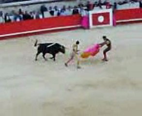 sebastien castella seul contre  7