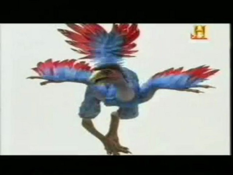 Dinosaurios: Origen de las aves