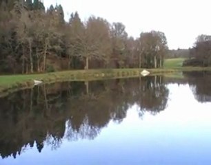pêche au coup 56