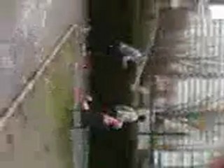 delire entre pote