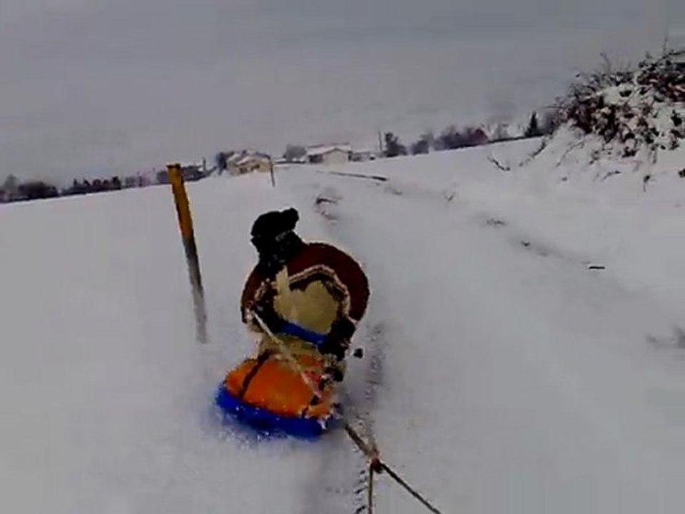 BonnE AnnéE 2o1o A TouS Les OuFs