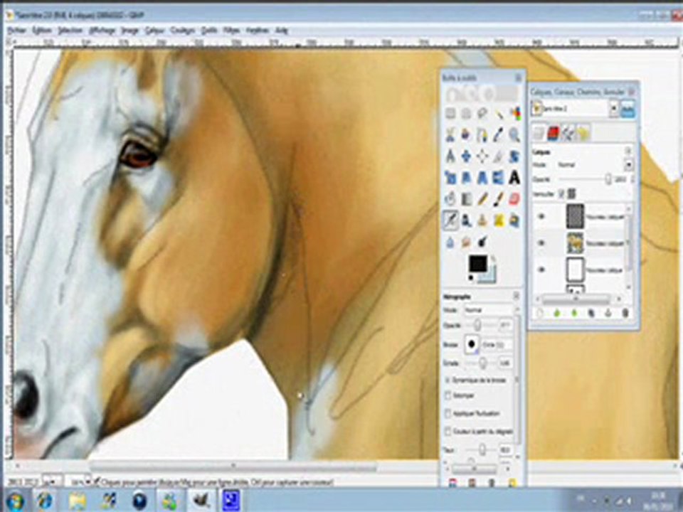 digital painting Tinker/Irish Cob