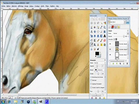 digital painting Tinker/Irish Cob