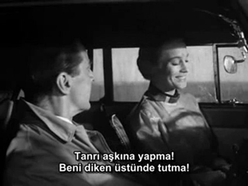 Wild Strawberries